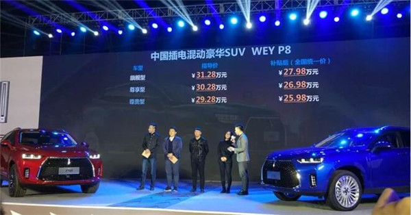 WEYP8最新报价 WEYP8是混合动力车型