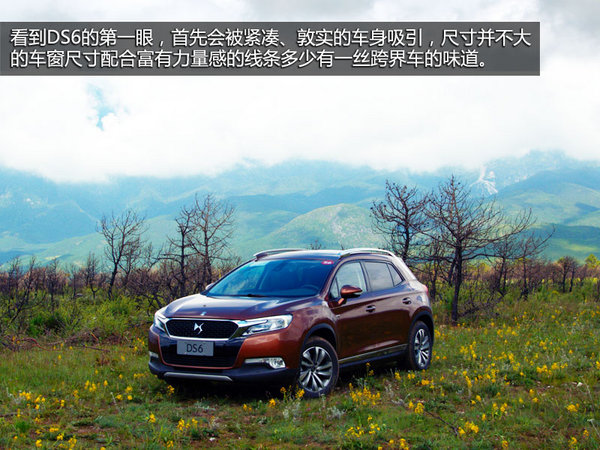 DS 6一月销量有多少 2019年1月销量排名第221