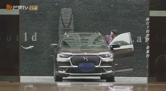 ds6是什么牌子的车 哪部电视剧里开的车是ds6