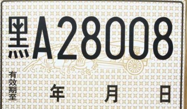 临时牌违章多久能查到