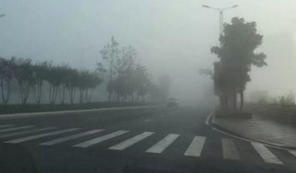 雾天对安全行车的主要影响是什么？