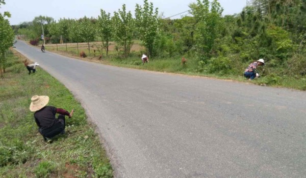 乡村道路限速多少