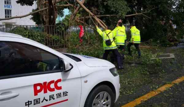 车自己撞了怎么走保险