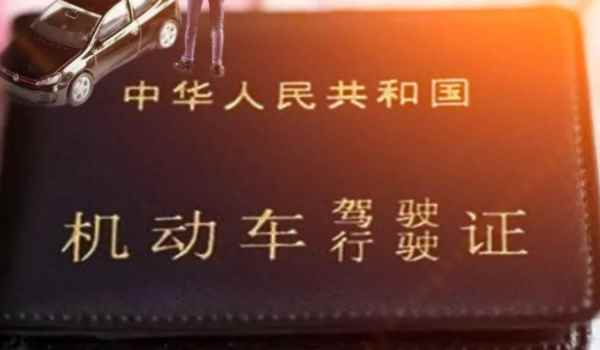 驾驶证扣分怎么在12123网上怎么学 主界面点击更多在学习教育业务当中找到审验教育网络学习