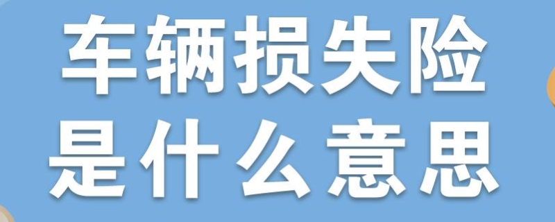 机动车损失险包括哪些项目