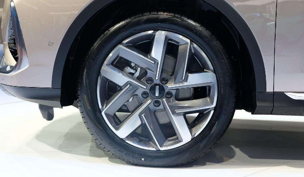 wey拿铁轮胎尺寸 轮胎型号规格多少(235/55 r19)