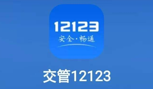 12123选车牌号可以不要吗