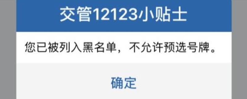 12123选号后几天上牌