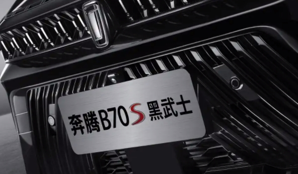 奔腾B70S的汽油滤芯为什么要更换 保证过滤汽油效果（避免引起供油不足）