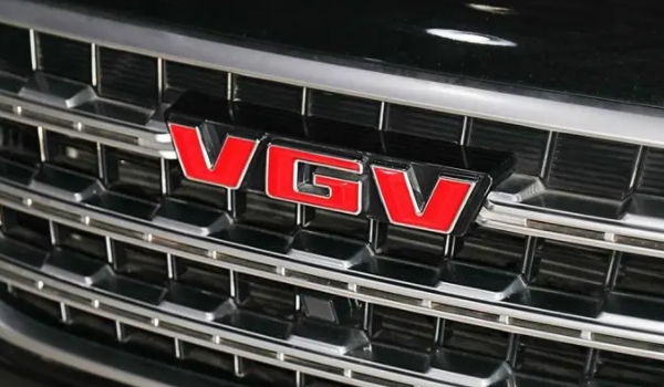 VGV U70的发动机内部如何保养 要定期进行擦拭（检查是否漏油）
