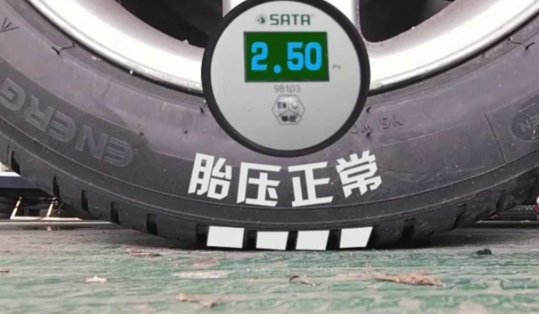 轮胎胎压数据重要么 对车辆行驶非常重要（需要时刻关注胎压变化）