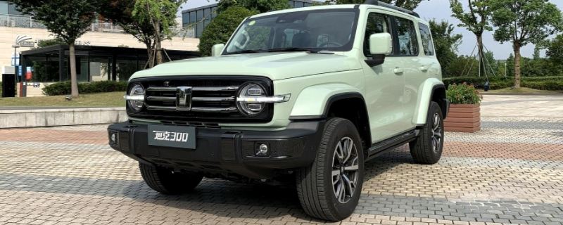300是什么车