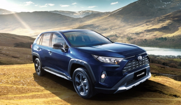 RAV4荣放的百公里耗油量怎么看 仪表盘上观看（显示非常明显）