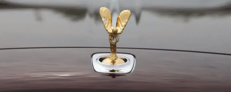 小金人车标是啥车